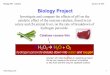 Catalase causes this catalytic effect of the enzyme ... Project 2013.pdf · Biology 2013 Catalase 4 e.g. January 15, 2014 Take 2 stalks of celery and add to 100 ml of water. Use a