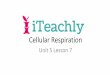 Cellular Respiration - iteachly.comiteachly.com/.../2018/02/5-7-Slide-Show-Cellular-Respiration.pdf · Cellular Respiration • During cellular respiration, the glucose is broken