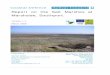 Report on the Salt Marshes at Marshside, Southport.corepoint.ucc.ie/FinalDeliverables/Publications... · Report on the Salt Marshes at Marshside, Southport 4 3.1 Salt Marsh Morphology