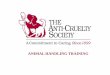 ANIMAL HANDLING TRAINING - The Anti-Cruelty …anticruelty.org/.../uploads/2014/07/Animal-Handling-Training-2015.pdf · Welcome to Volunteer Training Step 2: Animal Handling Training
