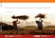 Innovative Agricultural Sme Finance models - World Bankdocuments.worldbank.org/curated/en/... · executive Summary 9 ... CASE 3 HDFC Bank, India — Correspondent Banking 62 ... INNovATIve