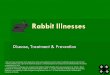 Rabbit Illnesses - product keyflorida4h.org/projects/rabbits/MarketRabbits/Files/...Rabbit Illnesses Disease, Treatment & Prevention * Ask your local veterinarian for dosage levels