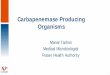 Carbapenemase Producing Organisms - PICNet | … · 5 I. Laboratory Detection of Carbapenemase Producing Organisms §From Clinical Specimens: All CPO §From Surveillance Specimens: