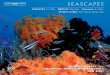 SEASCAPES - eclassical.com · SEASCAPES DEBUSSY La Mer BRIDGE The Sea ... in whose Le Bain de merfrom the piano work Sports et ... Debussy the sea was not an inadequate raw material