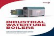 INDUSTRIAL WATERTUBE BOILERS - …cleaverbrooks.com/products-and-solutions/boilers/industrial... · Every industrial watertube furnace utilizes an innovative ... • 100% mechanically
