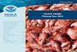 Sector Guide Fishing Year 2018 Flounder (Fluke), Black Sea Bass, and Scup (Porgies) Emily Gilbert 978-281-9244 Emily.Gilbert@noaa.gov Cynthia Hanson 978-281-9180 Cynthia.Hanson@noaa.gov