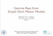 Gamma Rays from Simple Dark Matter Modelsphysics.ipm.ac.ir/conferences/ipp15/note/M.Tytgat-workshop.pdf · Gamma Rays from Simple Dark Matter Models Michel H.G. Tytgat Université