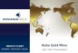 March 2 / 3, 2017 Haile Gold Mine€¦ · 2 Cautionary & Technical Statements Cautionary Notes -Information Purposes Only The information contained in this presentation is provided