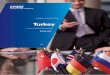 Turkey - KPMG Türkiye · independent professional activities in Turkey are required to ... of the foreign company ... partially car rental business or operation of such cars