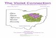 The Violet Connection - AVSA Connection December... · The Violet Connection ... Did you look closely at the stage at Kingwood to see the award winning violets? Debbie McInnis had