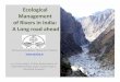 Ecological Management of Rivers in India: Long road … · of Rivers in India: A Long road ahead ... have not been the focus of any river improvement schemes or developmental 