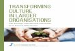 Transforming Culture in Larger Organisations - … · vision of success, ... mission alignment ... Our intention for this paper is to provide an introduction to transforming culture