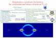 Bogoliubov quantum dynamics for uncondensed atom …deuar/talks/uw2011.pdf · Bogoliubov quantum dynamics for uncondensed atom clouds at T>>0 ... BEC Collisions ... Pairing and density