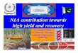 NIA contribution towards high yield and recovery - … of Imtiaz A Khan.pdf · NIA contribution towards high yield and recovery ... NIA-2004 11.13 90 10.08 ... NIA-2004 NCo-310 CP57-614