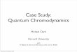 Case Study: Quantum Chromodynamicslorenabarba.com/gpuatbu/Program_files/Clark_GPUatBU.pdf · Case Study: Quantum Chromodynamics Michael Clark Harvard University with R. Babich, K