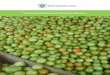 VEGETABLE POSTHARVEST TRAINING MANUAL · Vegetable Postharvest Training Manual Antonio L. Acedo Jr. World Vegetable Center South Asia, India ... - Fermentation 65 XI. Practical Exercises