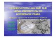 CONSERVATION LAW AND THE LEGAL … Vinayagan... · LEGAL PROTECTION OFLEGAL PROTECTION OF HORSESHOE CRABSHORSESHOE CRABS The Singapore Experience with the Carcinoscorpius rotundicauda