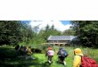INTEGRATED DESIGN: MITHUN - Solaripedia · Henry Ward Beecher At IslandWood – “A School in the Woods” – much of the learning happens beneath the trees, ... and ultimately