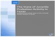 The State of Juvenile Probation Activity in Texas · The State of Juvenile Probation Activity in ... THE STATE OF JUVENILE PROBATION ACTIVITY IN TEXAS ... Seven of these combined