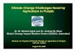 Climate Change Challenges faced by Agriculture in … · Climate Change Challenges faced by Agriculture in Punjab Seminar on ‘Impacts of Climate Change on Agriculture in Punjab’,