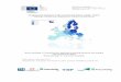 EUROPEAN COMMISSION DIRECTORATE-GENERAL FOR ENERGY ... · EUROPEAN COMMISSION DIRECTORATE-GENERAL FOR ENERGY Directorate C. 2 – New energy technologies, innovation and clean coal