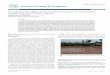 Variability in the Highway Geotechnical Properties of … · Citation: Owoyemi OO, Adeyemi GO (2017) Variability in the Highway Geotechnical Properties of Two Residual Lateritic Soils