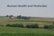Human Health and Pesticides - Iowa State University Human Health and... · • Can occur when pesticides are stored improperly – Lungs ... • Consider both the risks and benefits