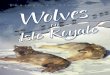 Ecological Studies of Wolves on Isle Royalechance/teaching_aids/books_articles/wolves/W… · Ecological Studies of Wolves on Isle Royale Annual Report 2002-2003* by Rolf O.Peterson
