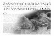 S M A L L - S C A L E OYSTER FARMING · 1 S M A L L - S C A L E OYSTER FARMING FOR PLEASURE AND PROFIT IN WASHINGTON O ur region’s oyster-farming heritage dates …