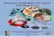 Guidelines for Stem Cell Research (PDF) - NCBS 2013.pdf · SCNT - Somatic Cell Nuclear Transfer SOP - Standard Operating Procedures SSCs - Somatic Stem Cells TOP - Termination of