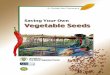 Saving Your Own Vegetable Seeds - 203.64.245.61203.64.245.61/web_docs/manuals/save-your-own-veg-seed.pdf · However, the seed of hybrid fruits should ... and okra have the stigma