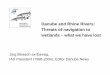 Danube and Rhine Rivers: Threats of navigation … Navigation Danube...Danube and Rhine Rivers: Threats of navigation to wetlands – what we have lost Jürg Bloesch ex-Eawag, IAD
