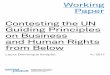 Working Paper Contesting the UN Guiding Principles … · Contesting the UN Guiding Principles on Business and Human Rights from Below: NGOs, Extractive Industries and the Case of
