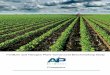 Fertilizer Plant Turnaround Benchmarking Studyap-networks.com/wp...and-Nitrogen-Plant...Final.pdf · Fertilizer and Nitrogen Plant Turnaround Benchmarking Study 2017 Page 2 ... •