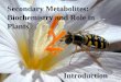 Secondary Metabolites: Biochemistry and Role in Plants · Function of Secondary Metabolites: Defense Herbivores (insects, vertebrates) Repellence, deterrence, toxicity Microbes (bacteria,