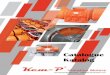 Catalogue Katalog - kempvibration.comkempvibration.com/pdf/Kemp-Vibration-Motors.pdf · Moment Statique Momento Estatico Ağırlık Weight Poids Peso Giriş Gücü 