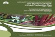 NORTHWEST TERRITORIES AGRICULTURE STRATEGY … · NORTHWEST TERRITORIES AGRICULTURE STRATEGY If you would like this information in another official language, call us. English Si vous