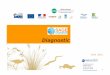 Diagnostic - EPTB Charente - Institution …fleuve-charente.net/wp-content/files/SAGE/Diagnostic-SAGE-Charente... · La construction du diagnostic global a impliqué les acteurs du