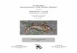Western Toad,Anaxyrus boreas - Registre public des ... · COSEWIC. 2012. COSEWIC assessment and status report on the Western Toad Anaxyrus boreas in Canada. Committee on the Status