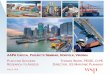 Thomas A. Ward, PE/SE, D.PE, Director - US Maritime ...aapa.files.cms-plus.com/2018Seminars/CapitalProjects/Ward_Tom.pdf · farms, navigation, pilotage, tugs, fueling, dray market,