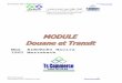 Mme BIBORCHI Nacira ISGI Marrakech - tscom.noads.biztscom.noads.biz/files/M20_douane_et_transit_tsc_cn_ma .pdf · perfectionnement à l’exportation, transit, drawback. ... et franche