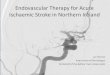 Endovascular Therapy for Acute Ischaemic Stroke in ... · Endovascular Therapy for Acute Ischaemic Stroke in Northern Ireland Ian Rennie . ... • IAT is likely to be beneficial for