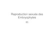 Reproduction sexuée des Embryophytes - …agrovetoparc.free.fr/BCPST2/Cours/B5%20Reproduction%20sexu%E9… · ... Cycle de reproduction du polypode SPOROPHYTE ... Dans le nucelle