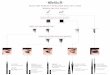 FIND THE PERFECT EYELINER FOR ANY LOOK - sephora.com€¦ · where are you lining? what finish do you want? precise lines or easy wings? upper lash line satin finish lower lash line
