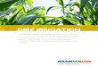 DRIP IRRIGATION - NaanDan Jain · solutions for subsurface drip irrigation, organic agriculture, greenhouse technologies, and ecological applications. NaanDanJain’s 800-hectare