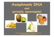 Αποµόνωση DNA - blogs.sch.grblogs.sch.gr/8lyk-pat/files/2017/10/apomonosiDNA.pdf · Προτείνουμε την ποιοτική ταυτοποίηση των νουκλεϊκών