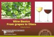 Wine Basics From grapes to Glass - s3.wp.wsu.edu · •Wine is referred to in the Bible ... a cracker or sip of water ... LeNez Du Vin set