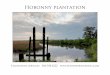 Hobonny plantation Brochure.pdf · Hobonny Plantation 825.9 Acres in Beaufort County South Carolina Hobonny is an original rice plantation located between Charleston, South Carolina