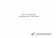 2017 ANNUAL FINANCIAL REPORT · Dassault Réassurance (France) Dassault Aviation Participations (France) Dassault Falcon Business Services (China) Dassault Reliance Aerospace Ltd