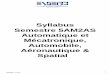 Syllabus Semestre€5AM2AS Automatique et …enseirb-matmeca.bordeaux-inp.fr/syllabus0708/pdf/syllabus_FR_5AM2... · Syllabus AU303 : Analyse et commande des systèmes non linéaires